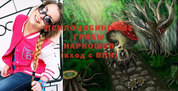 МДПВ Зеленокумск